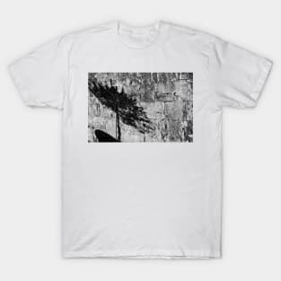 Shadow - San Gimignano, Tuscany, Italy T-Shirt